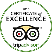 tripadvisor excellence