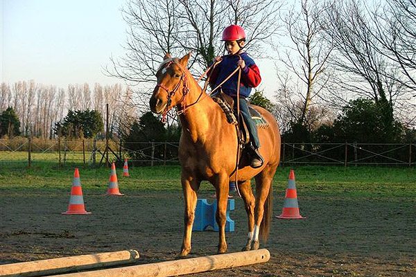 equitation cheval 