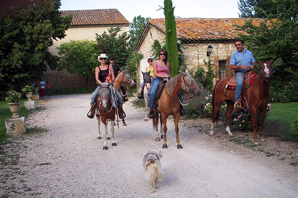 equitation cheval 