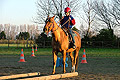 equitation cheval